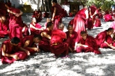 ChinaTibet 2007 LHASA debating monks